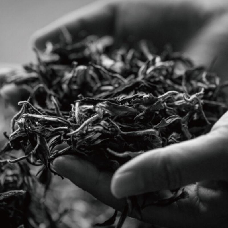 中秋聚福小種紅茶月餅禮盒禮品定制送客戶禮物 小種紅茶月餅禮盒