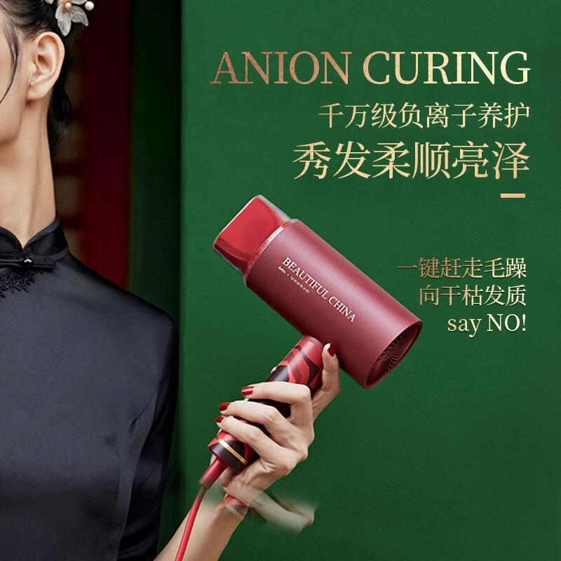 艾優(yōu)（Apiyoo）電吹風家用吹風機負離子大功率速干冷熱風恒溫護發(fā)吹風筒故宮聯(lián)名禮盒款